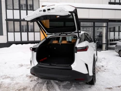 Lexus RZ 450e Premium Edition 7
