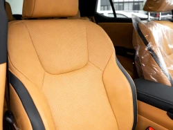 Lexus RZ 450e Premium Edition 16